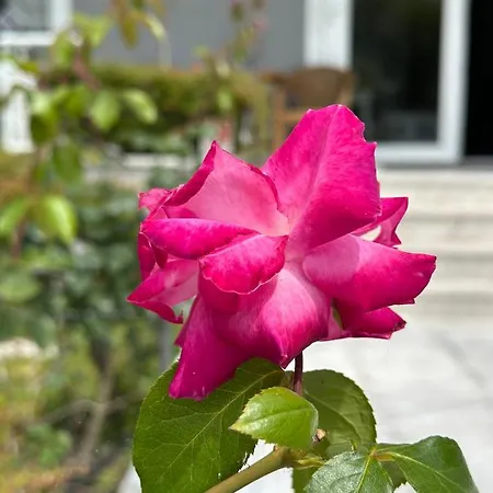 Ξενοδοχείο ηιώνη