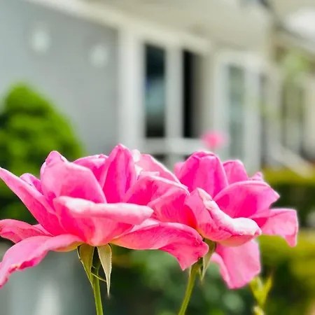 ηιώνη Ξενοδοχείο Παραλία