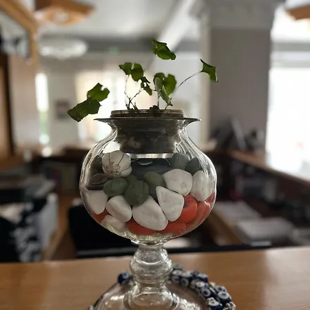 Ξενοδοχείο ηιώνη